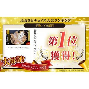 ふるさと納税 干物 イカ 石川県 輪島市 いし...の詳細画像2