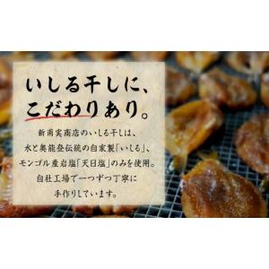 ふるさと納税 干物 イカ 石川県 輪島市 いし...の詳細画像4