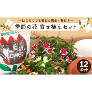 ふるさと納税 花・苗木 埼玉県 羽生市 寄せ植え 花 季節のお花 12ポット 用土 鉢 付き ガーデニング プレゼント 育成セット 日用品 園芸 花苗 おすすめ セット…