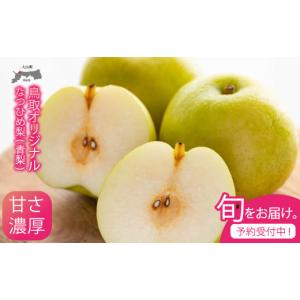 ふるさと納税 梨 鳥取県 大山町 先行予約 DS-01　なつひめ梨 5kg