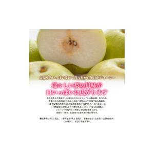 ふるさと納税 梨 鳥取県 大山町 先行予約 D...の詳細画像1