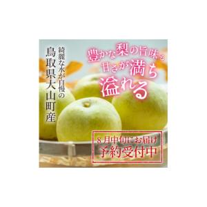 ふるさと納税 梨 鳥取県 大山町 先行予約 D...の詳細画像2
