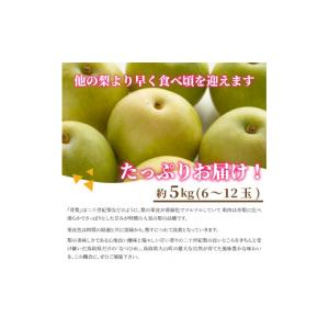 ふるさと納税 梨 鳥取県 大山町 先行予約 D...の詳細画像3