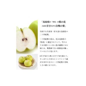 ふるさと納税 梨 鳥取県 大山町 先行予約 D...の詳細画像5