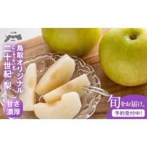 ふるさと納税 梨 鳥取県 大山町 先行予約 DS-02　二十世紀梨（５ｋｇ）