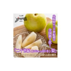 ふるさと納税 梨 鳥取県 大山町 先行予約 D...の詳細画像1