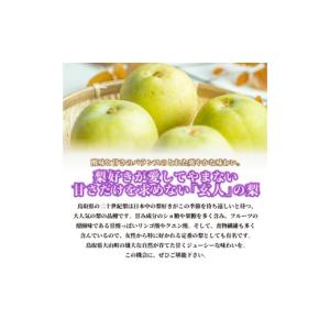 ふるさと納税 梨 鳥取県 大山町 先行予約 D...の詳細画像2