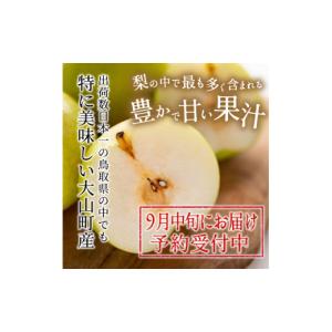 ふるさと納税 梨 鳥取県 大山町 先行予約 D...の詳細画像3