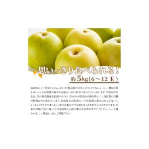 ふるさと納税 梨 鳥取県 大山町 先行予約 D...の詳細画像4