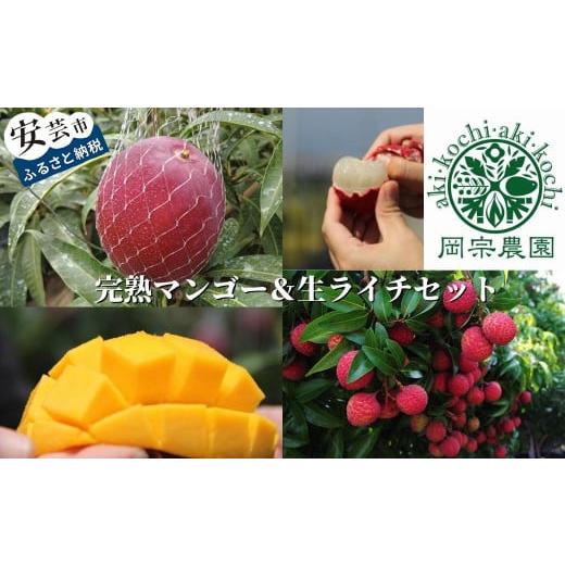 ふるさと納税 果物の詰合せ 高知県 安芸市  先行受付 完熟 マンゴー 生 ライチ セット フルーツ...