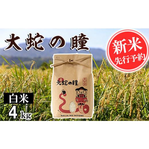 ふるさと納税 熊本県 南関町 【令和5年産】大蛇の瞳 白米 4kg