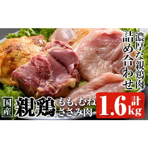 ふるさと納税 鹿児島県 曽於市 親鶏Ａセット合計1.6kg! 肉 鶏肉 詰め合わせ 【ケイ・ショップ...