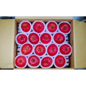 ふるさと納税 りんご 山形県 天童市 08-02-026　りんご(サンふじ)5kg