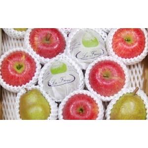 ふるさと納税 果物の詰合せ 山形県 天童市 08-02-029　ラ・フランス&amp;サンふじ詰合せ5kg