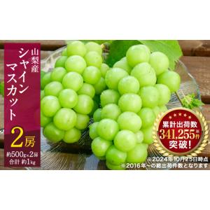 ふるさと納税 ぶどう マスカット 山梨県 山梨...の詳細画像1