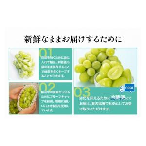 ふるさと納税 ぶどう マスカット 山梨県 山梨...の詳細画像5