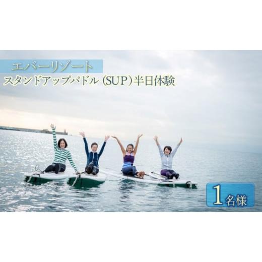 ふるさと納税 神奈川県 逗子市 【逗子海岸・エバーリゾート 】スタンドアップパドルボード（SUP）半...