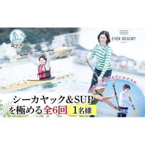 ふるさと納税 体験チケット 神奈川県 逗子市 シーカヤック＆サップを極める全6回 パドルスポーツスタートパック 1名様 シーカヤック サップ SUP 体験 海 ガイ…