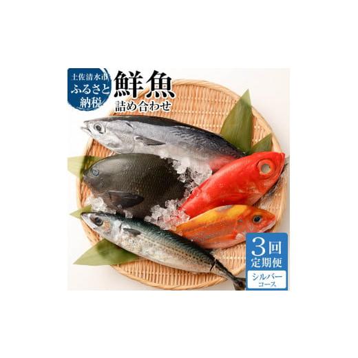 ふるさと納税 高知県 土佐清水市 &lt;3回定期便&gt; 季節の鮮魚 おまかせお楽しみセット（シルバーコース...