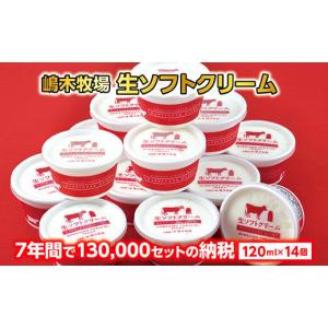 ふるさと納税 北海道 池田町 北海道　牧場の生ソフトクリーム14個