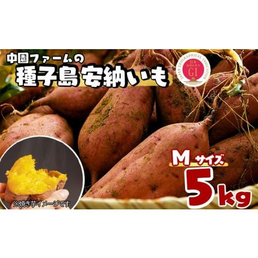 ふるさと納税 野菜類 サツマイモ 鹿児島県 西之表市 種子島 中園ファーム 安納いも ( 生芋 ) ...