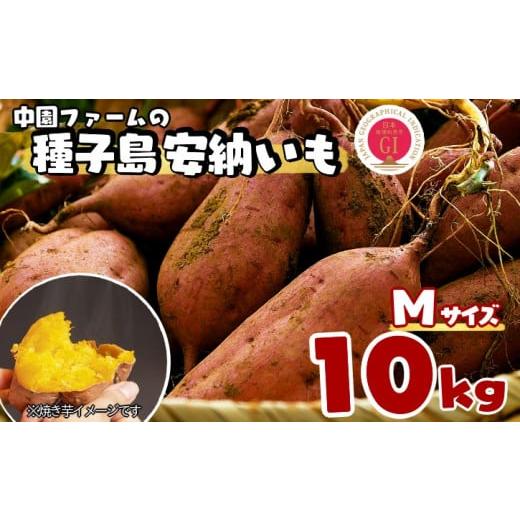 ふるさと納税 野菜類 サツマイモ 鹿児島県 西之表市 種子島 中園ファーム 安納いも ( 生芋 ) ...