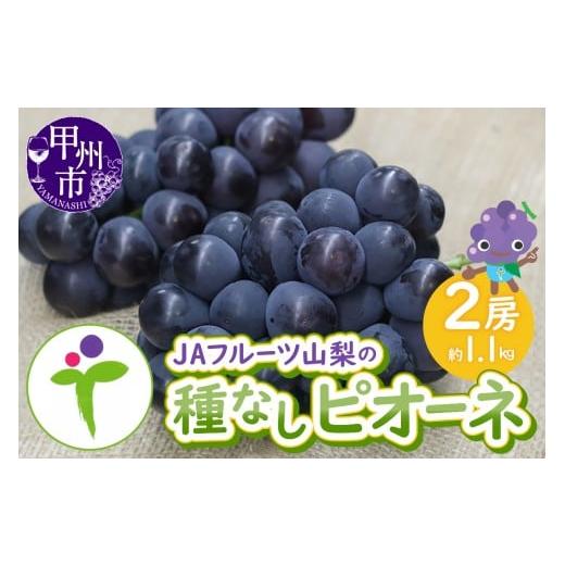 ふるさと納税 ぶどう 山梨県 甲州市 JAフルーツ山梨 甲州市産種なしピオーネ2房 80 2026年...