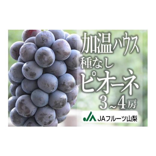 ふるさと納税 ぶどう 山梨県 甲州市 JAフルーツ山梨 甲州市産ハウス種なしピオーネ3〜4房 80 ...