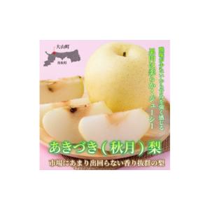 ふるさと納税 梨 鳥取県 大山町 DS-05　あきづき梨 5kg