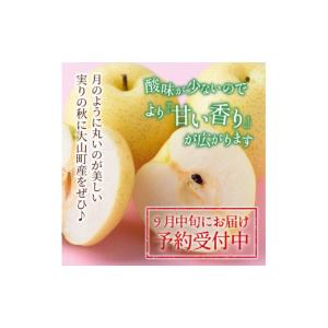 ふるさと納税 梨 鳥取県 大山町 DS-05 ...の詳細画像2