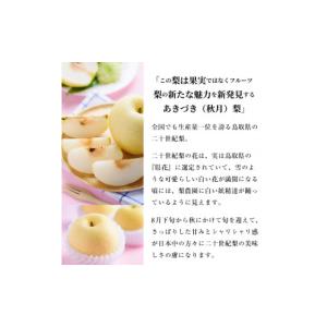 ふるさと納税 梨 鳥取県 大山町 DS-05 ...の詳細画像5
