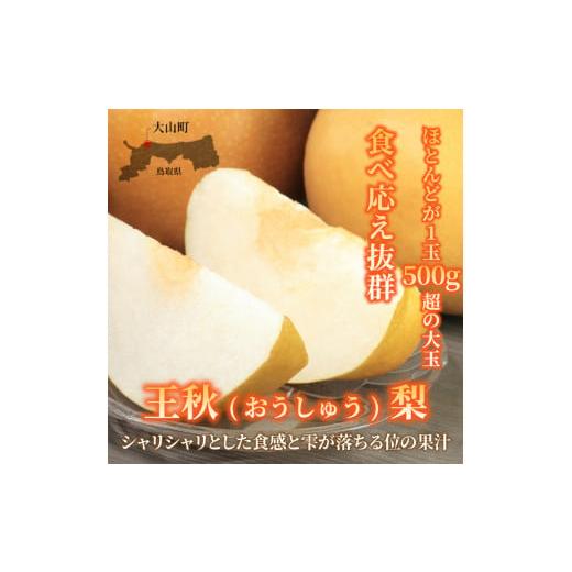 ふるさと納税 梨 鳥取県 大山町 DS-08　王秋梨（おうしゅうなし）（５ｋｇ）