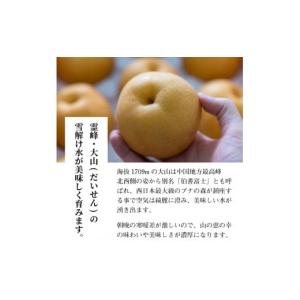 ふるさと納税 梨 鳥取県 大山町 DS-08 ...の詳細画像5