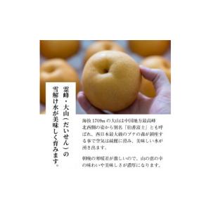 ふるさと納税 梨 鳥取県 大山町 DS-08 ...の詳細画像4