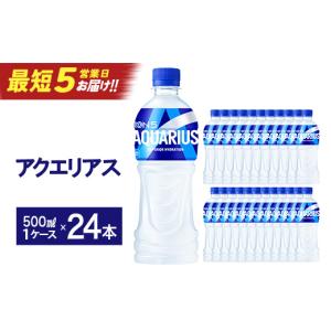 ふるさと納税 水・ミネラルウォーター 宮城県 蔵王町 スピード発送 最短5営業日着 アクエリアス 500mlPET×24本　 04301-0039