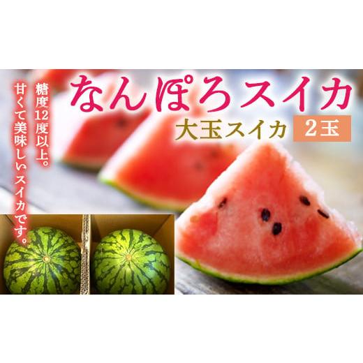 ふるさと納税 北海道 南幌町 数量限定 なんぽろスイカ2玉 期間限定 令和5年産 8月下旬以降順次発...