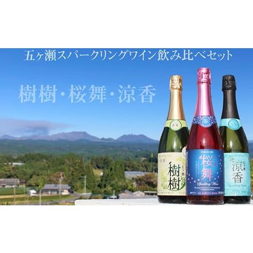 ふるさと納税 宮崎県 五ヶ瀬町 五ヶ瀬 スパークリング ワイン 飲み比べ セット | お酒 さけ ア...