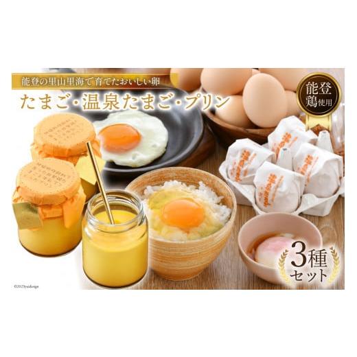 ふるさと納税 卵（鶏、烏骨鶏等） 石川県 宝達志水町 濃厚 プリン 6個 たまご 10個 ×2種 温...