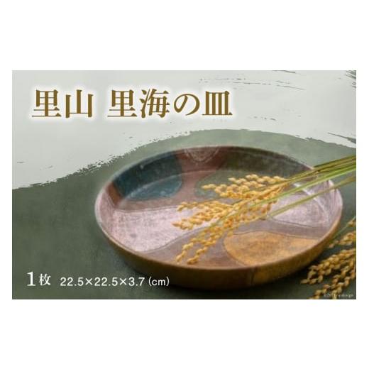 ふるさと納税 食器・グラス 皿 石川県 宝達志水町 陶器 皿 里山 里海の皿 之乎路窯 石川県 宝達...