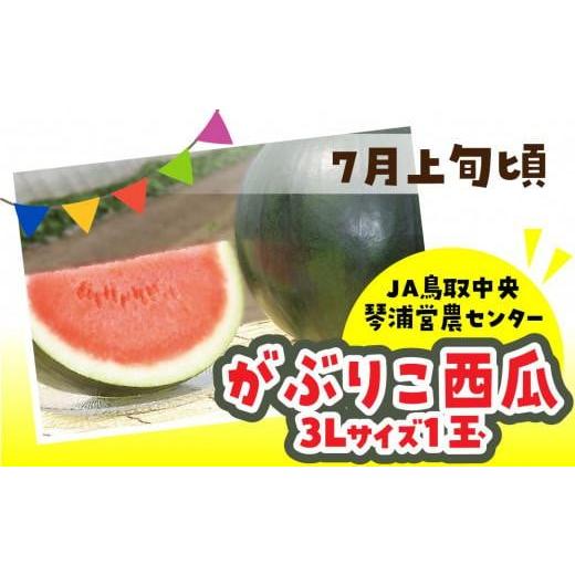 ふるさと納税 鳥取県 琴浦町 数量限定 鳥取県産 がぶりこ西瓜 1玉（3L）