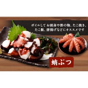 ふるさと納税 タコ 大阪府 阪南市 大阪産 泉...の詳細画像3