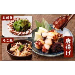 ふるさと納税 タコ 大阪府 阪南市 大阪産 泉...の詳細画像4