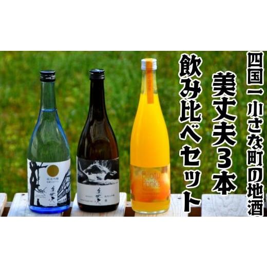 ふるさと納税 高知県 田野町 【四国一小さなまちの地酒】美丈夫 720ml×３本飲み比べセット（純米...