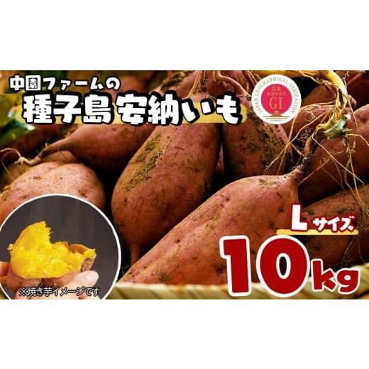 ふるさと納税 野菜類 サツマイモ 鹿児島県 西之表市 種子島 中園ファーム 種子島 安納いも ( 生...