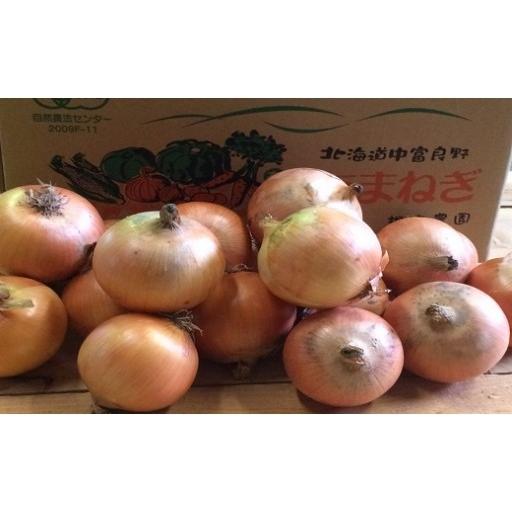ふるさと納税 野菜類 玉ねぎ 北海道 中富良野町 有機玉ねぎ10kg