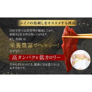 ふるさと納税 馬肉 山形県 白鷹町 山形県 白...の詳細画像2