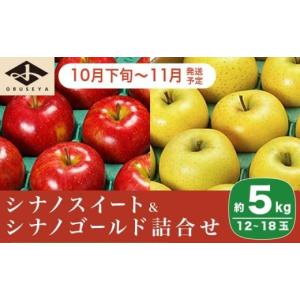 ふるさと納税 りんご 長野県 小布施町 長野県りんごの味比べ 約5kg 12〜18玉 シナノスイート シナノゴールド ［小布施屋］ りんご 林檎 リンゴ 果物 フルーツ …