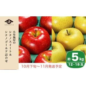 ふるさと納税 りんご 長野県 小布施町 長野県...の詳細画像1