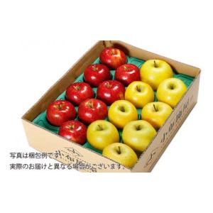 ふるさと納税 りんご 長野県 小布施町 長野県...の詳細画像2