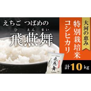 ふるさと納税 令和5年産 厳選コシヒカリ えちごつばめの飛燕舞 白米10kg FC015179